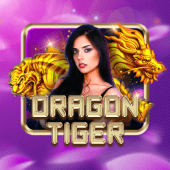 Dragon Tiger Video game console download apk